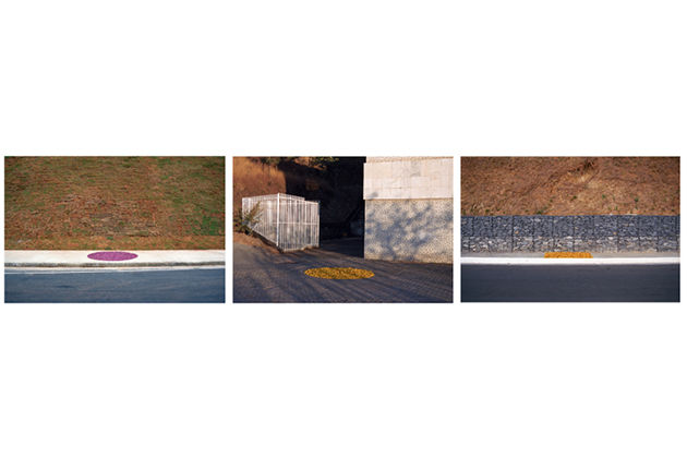 Pablo Lobato, "Repouso" tríptico #2, 2008