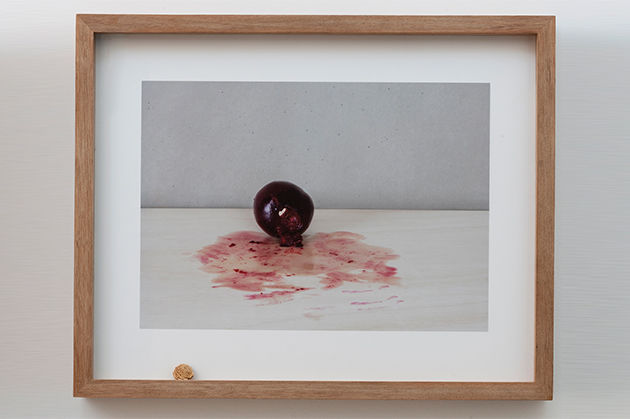 Pablo Lobato, Muda (Ameixa #2), 2014