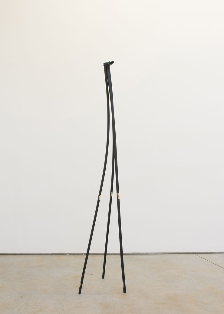 Pablo Lobato, “Quadrado (Girafa #7)”, 2017