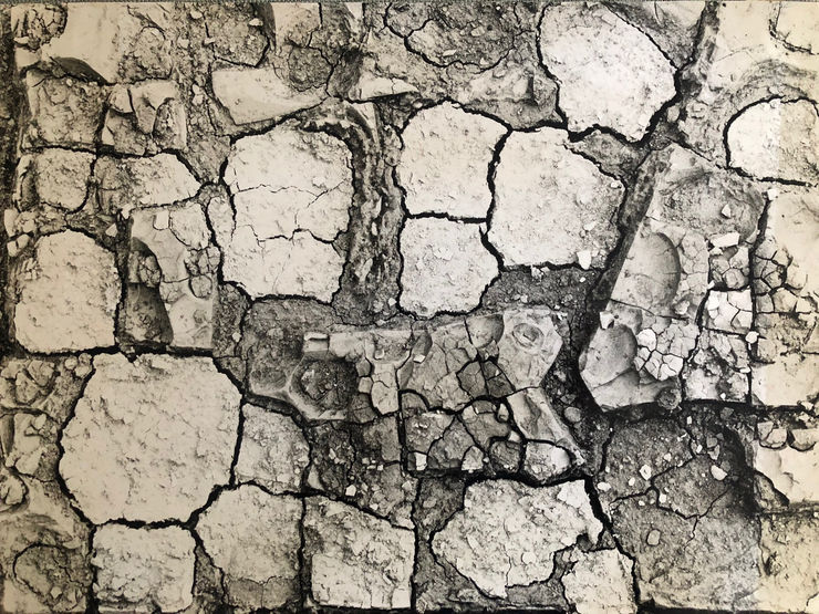 Marcel Giró Textura 1, c. 1952 Gelatina e prata, vintage Vintage gelatin silver print 28,5 x 38,5 cm 11.22 x 15.15 in