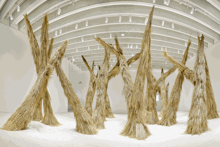 Campana, ¨Campana Woods¨, 2014