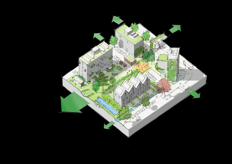 BIURBS: Stolon wins research funding to assess the value of biodiversity in cities