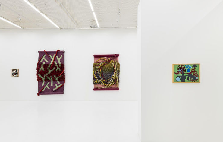 Norbertonicola Baixa Dingmusa Din7081