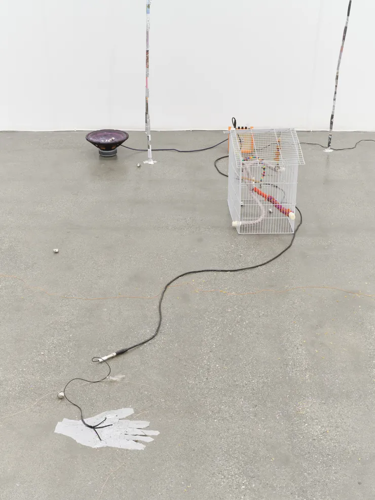 20240121 Sebastian 023 4000Px