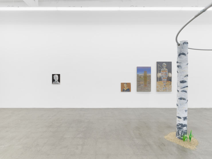 20241026 Sebastian 052 4000Px