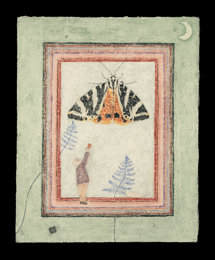 I couldn’t have known you from all sides I am the cuckoo butterfly, I caught the chubby wee man’s eye. He took his glass and cardboard square And saved my life right then and there. He threw me to the daytime sky, Believing in my cuckoo lie – Despite not eating wool or cloth, I am, in fact, a humble moth.