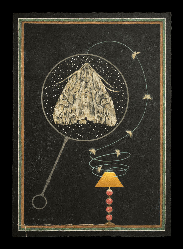 If only you were the Moon The plastic lamp, a junkshop find Quite often had me in a bind, And I’d resisted several offers To cap eight quid and swell my coffers, But lucky for the moth, I didn’t And to its bulb, the creature bidden Had mistaken this, a mere room, For the firmament and the moon. And lucky too, for moth, the glass Was soon to save its furry ass, For once encased in smooth vitrine, With cardboard sandwiched inbetween We cast it out into the night And watched its spiralling moon-bound flight.