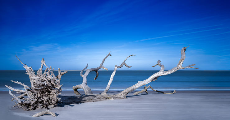 IT DIDN'T HAVE TO END THIS WAY