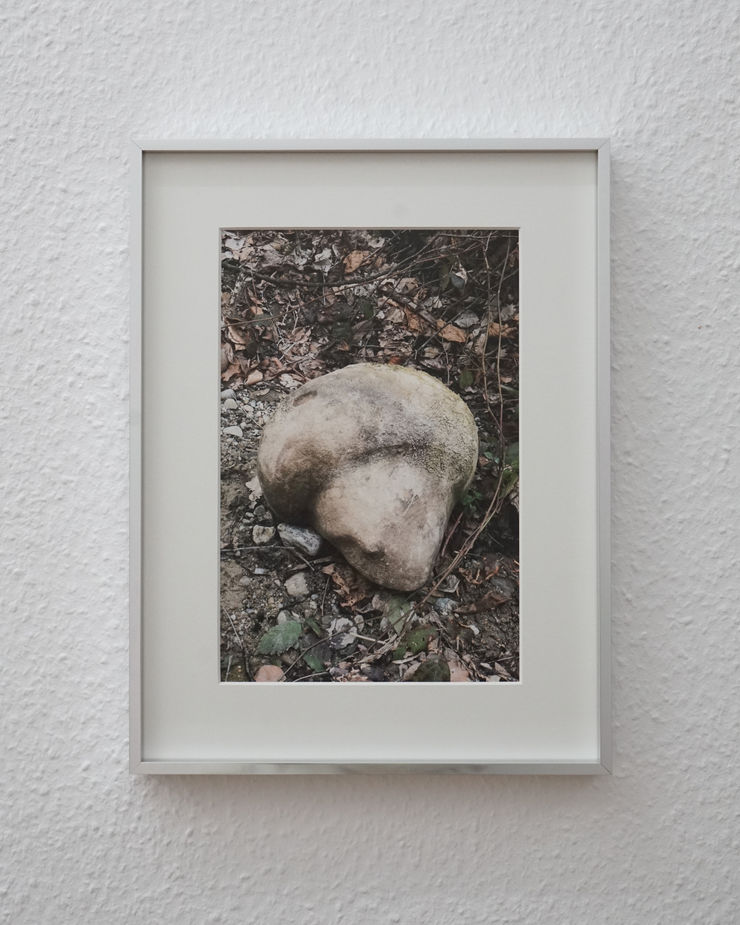 Nona Inescu Mimetolith I, 2022 Archival Print on Hahnemuehle paper 41 x 31 cm (framed) Edition of 3 plus 1 artist's proof