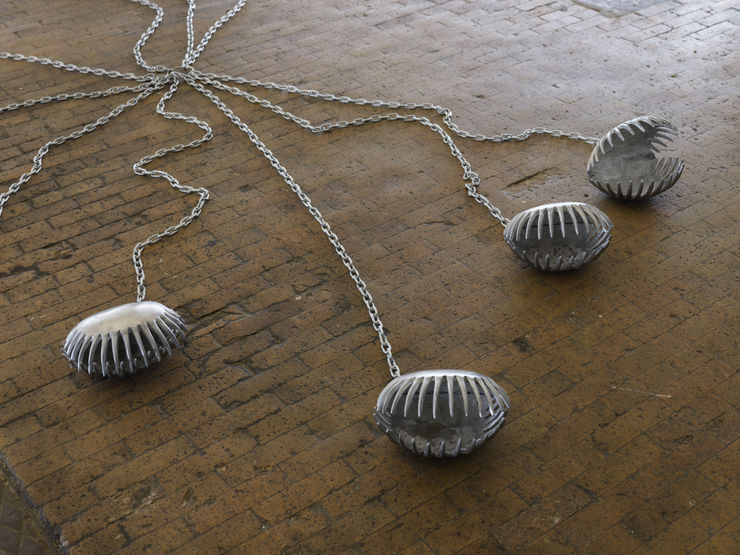 240119 Rodeo 3 Dsf1364