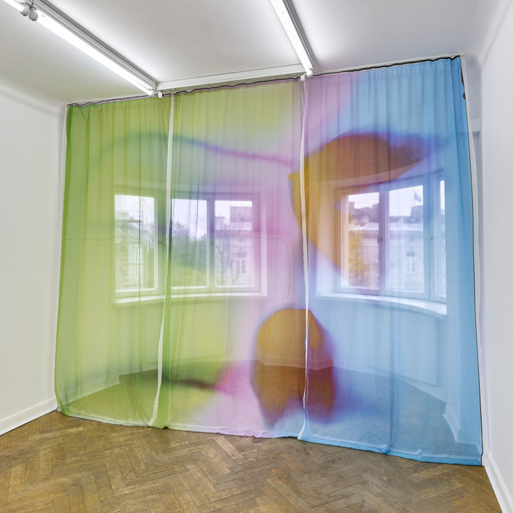 Ketuta Alexi-Meshishvili Untitled, 2024 Inkjet print on organic cotton voile 300 x 450 cm | 118 1/8 x 177 1/8 in