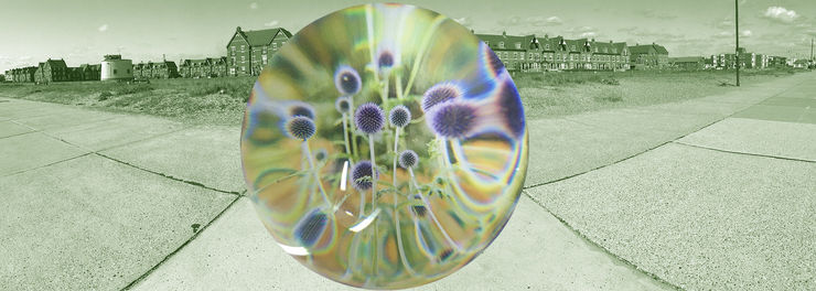 The Garden Seeker's Project Socially engaged research project, residency, events and exhibitions by Jane Frederick