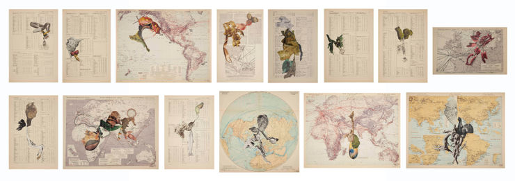 Apnavi Makanji, Appropriation Disinformation - Nature and the Body Politic, 2020