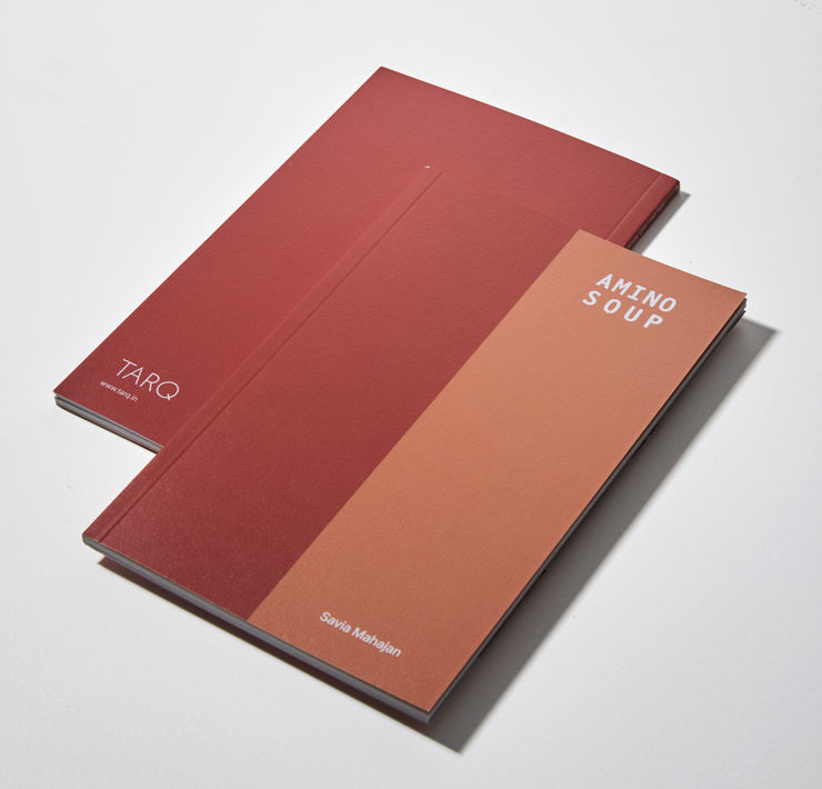 Amino Soup , Savia Mahajan: Sculptures and Drawings