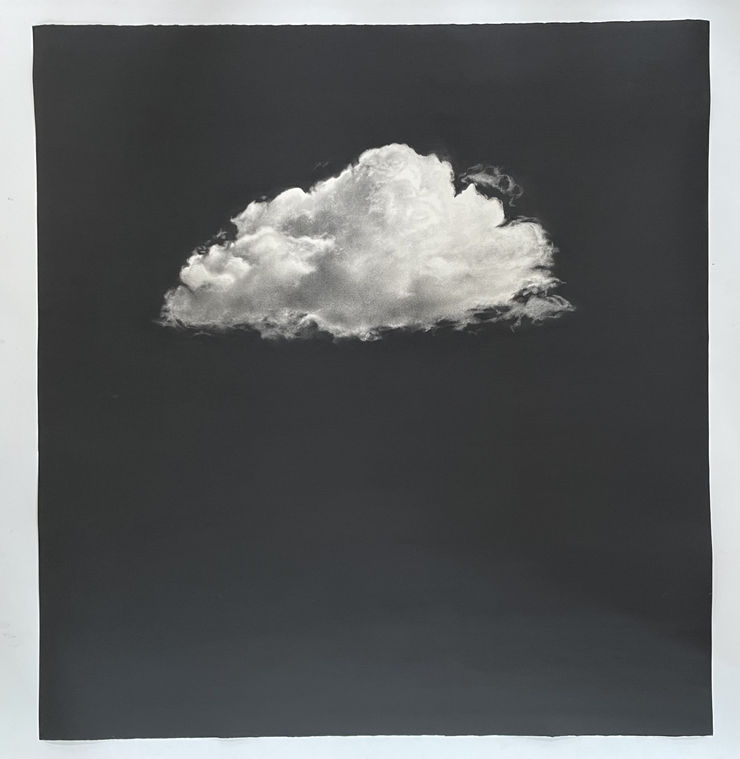 Sarah Reynolds, In Transition, 2023