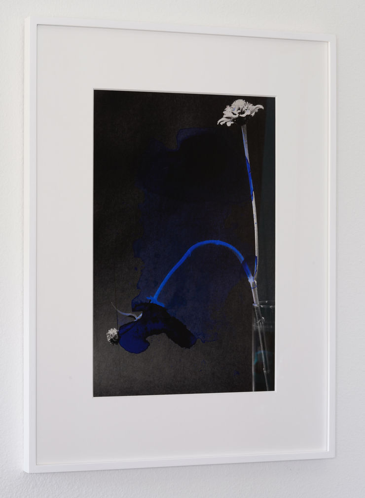 Tasha Ostrander, Night Bluem IX, 2019