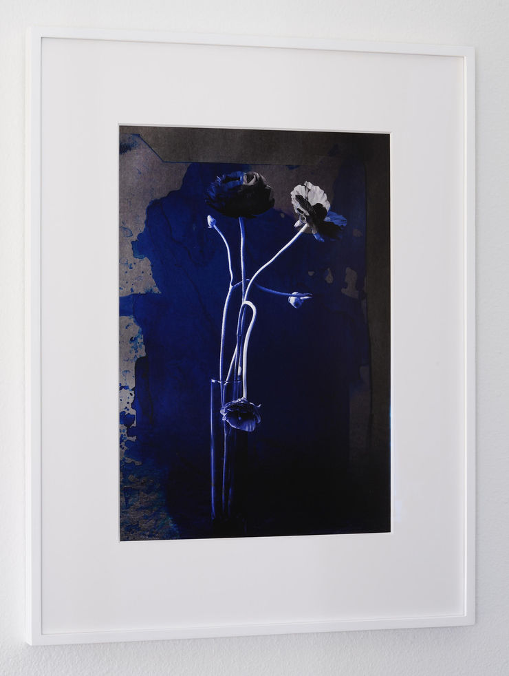 Tasha Ostrander, Night Bluem V, 2019