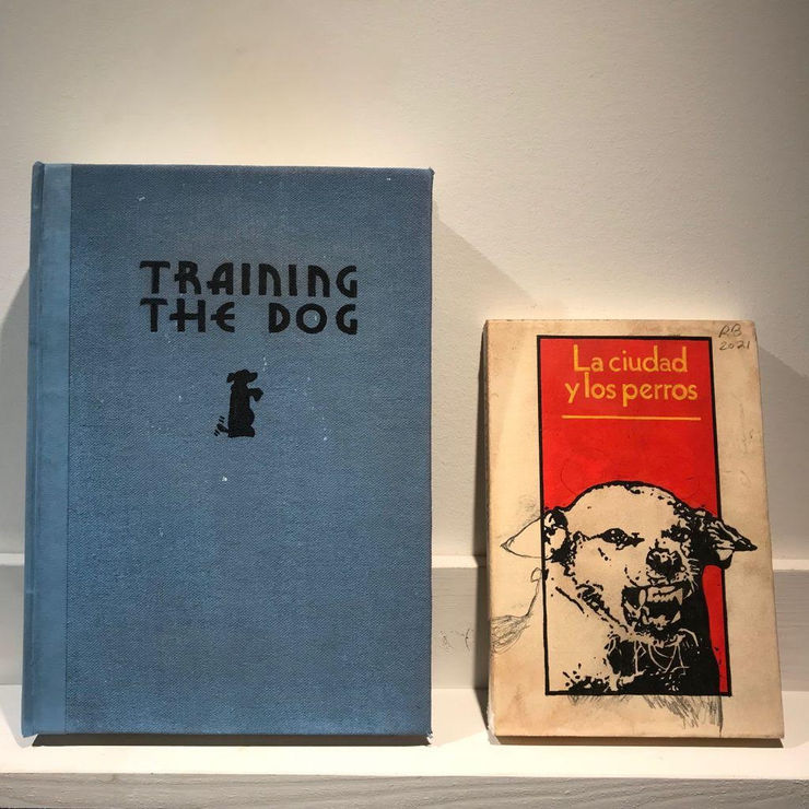 Ryan Brown, Training The Dog, 2021