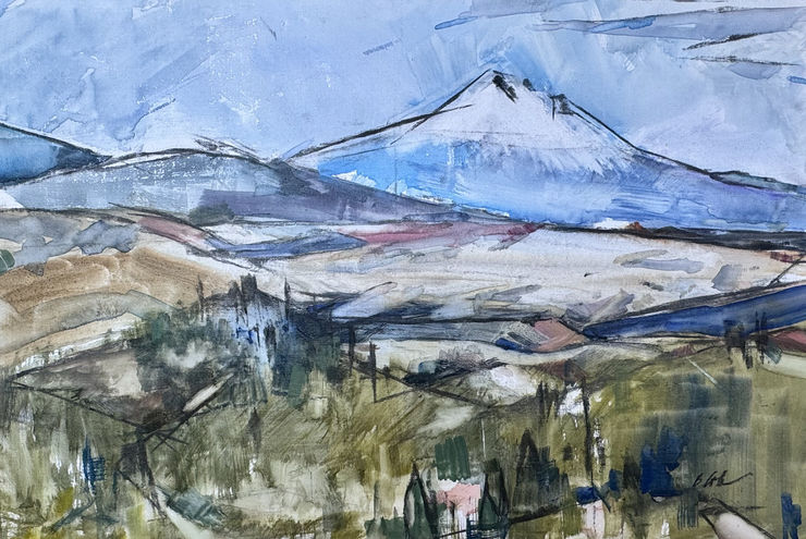 Bets Cole, Mt. Shasta - Soda Mt. Wilderness