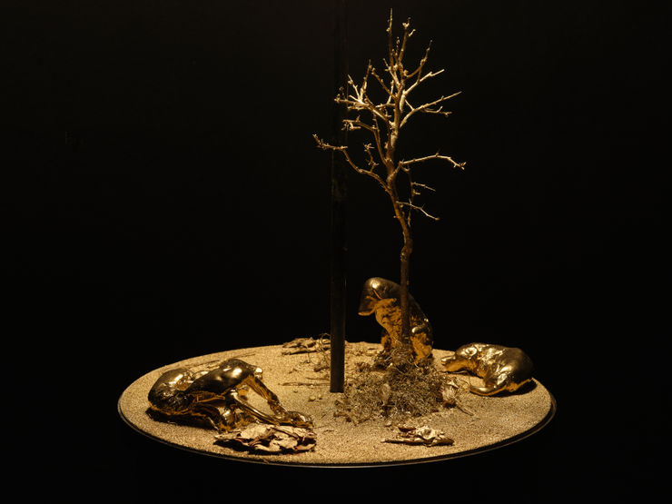 3 S357 Mamoth Rb Feb 27 2025 Jpeg 3800Px Web Res Credit M8R8S Studio