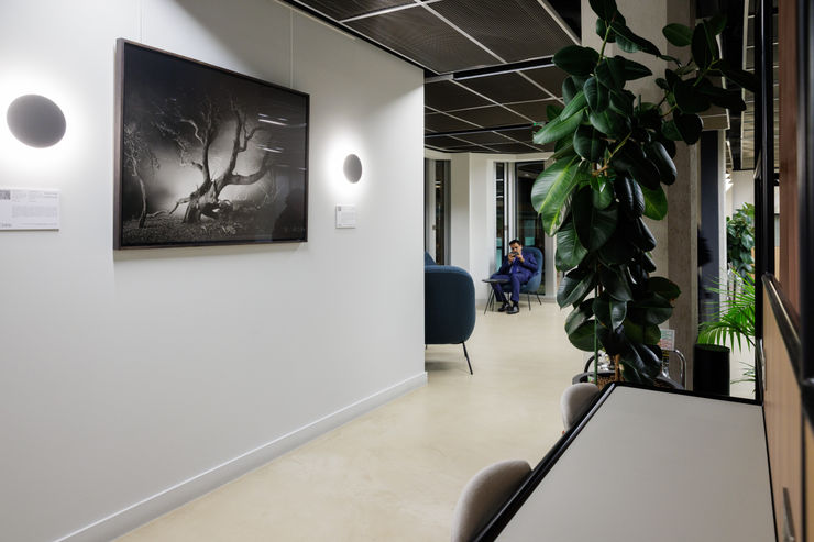 Images courtesy of Sam Frost, Landsec and Myo Victoria