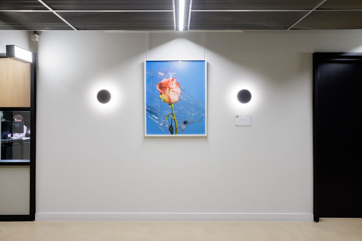 Images courtesy of Sam Frost, Landsec and Myo Victoria