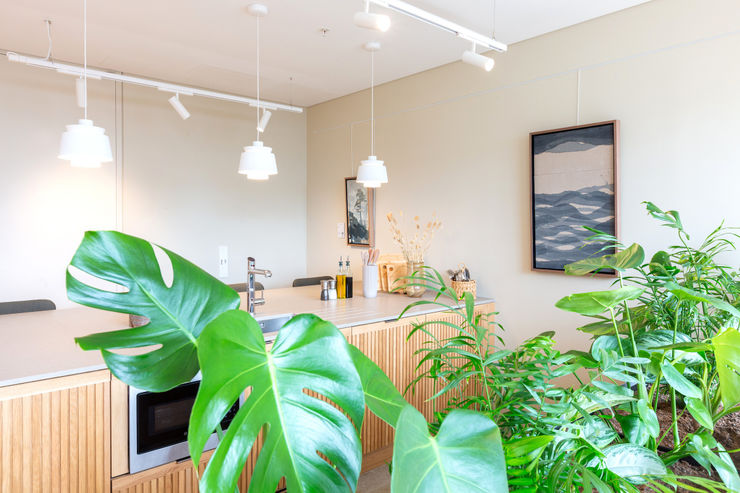 Image courtesy of Demelza Lightfoot Photography