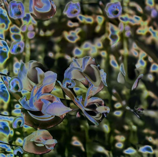 IVONATAU, FLORA SOLARIS VI, 2022