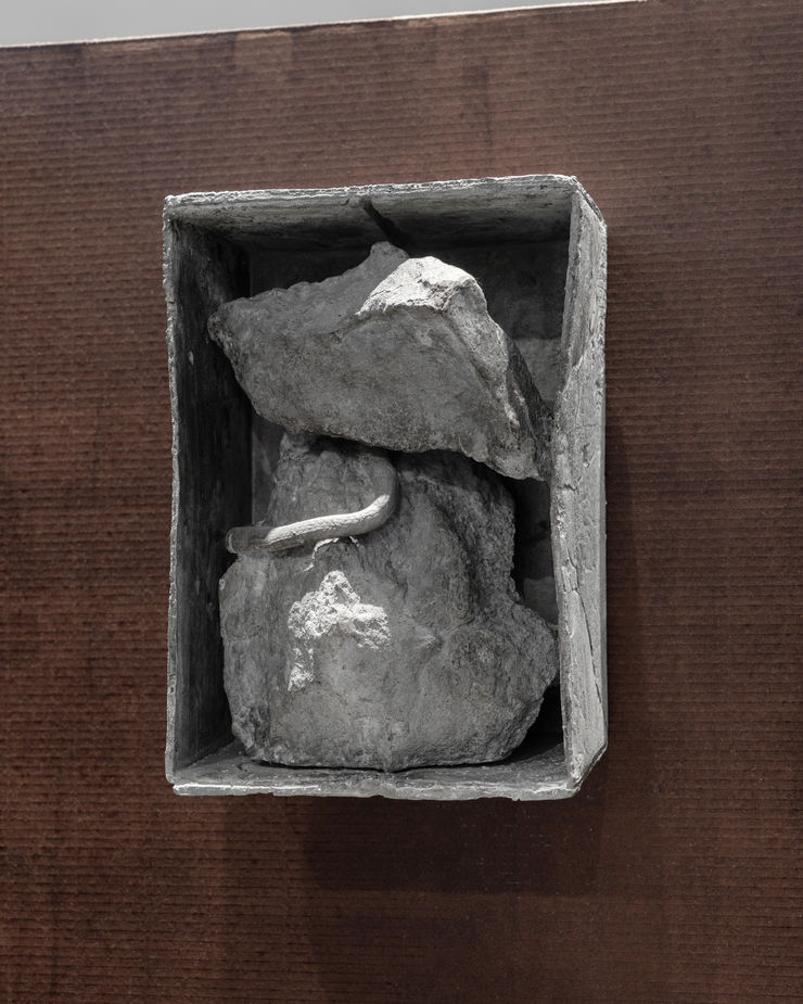 75 Peana Tomas Cedeno