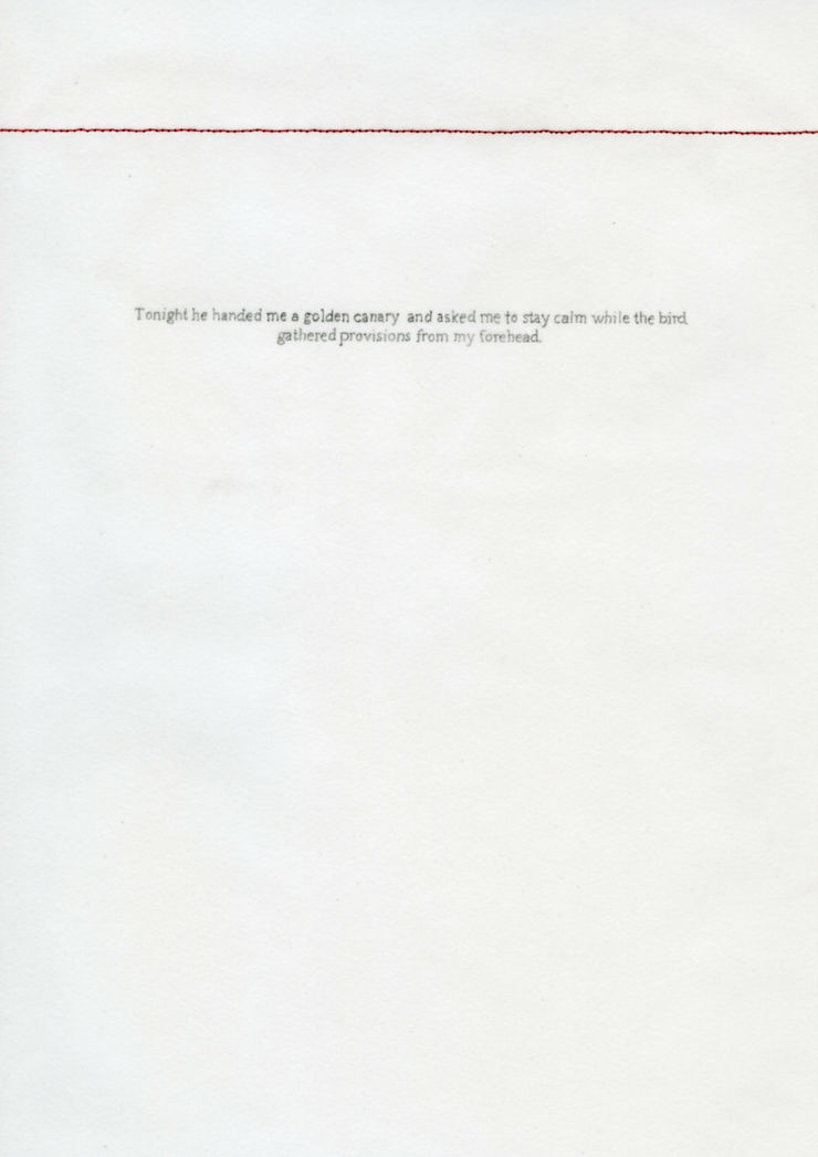 Untitled (Tonight), 2013 pappír, saumspor, blýantur Untitled (Tonight), 2013 paper, seam stitches, pencil 29,7 x 21 cm GRI0053