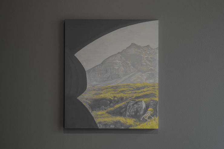 Dog Rainbow / Regnbogi hunds