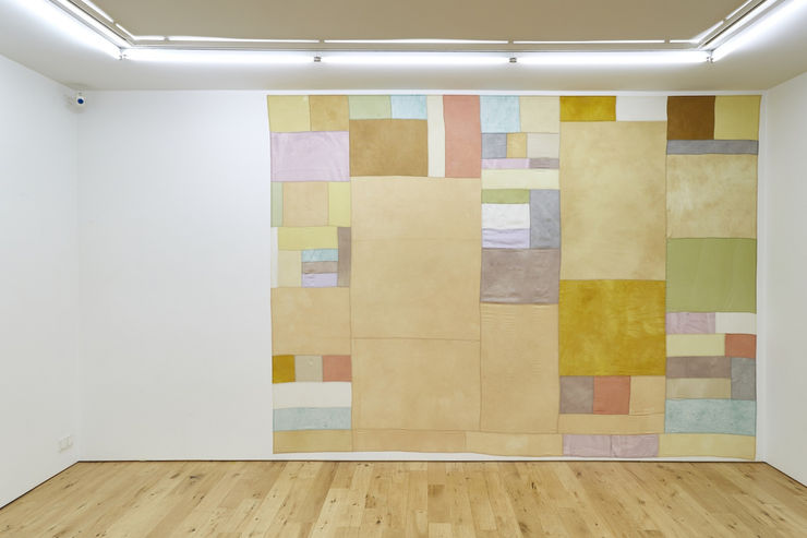 samhagsmunalegt samband / symbiotic relationship, 2016 jurtalitur, akrýllitur, silki / plant dye, acrylic paint, silk 271 x 370 cm HIB0078