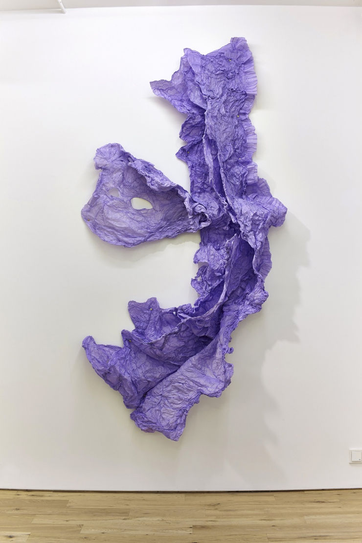 Tilfelli (Neðansjávar), 2014 plast, úðalakk, teiknibólur Nonsicle (Under Wather), 2014 plastic, spray paint, thumbtacks 230 x 120 HRA0056