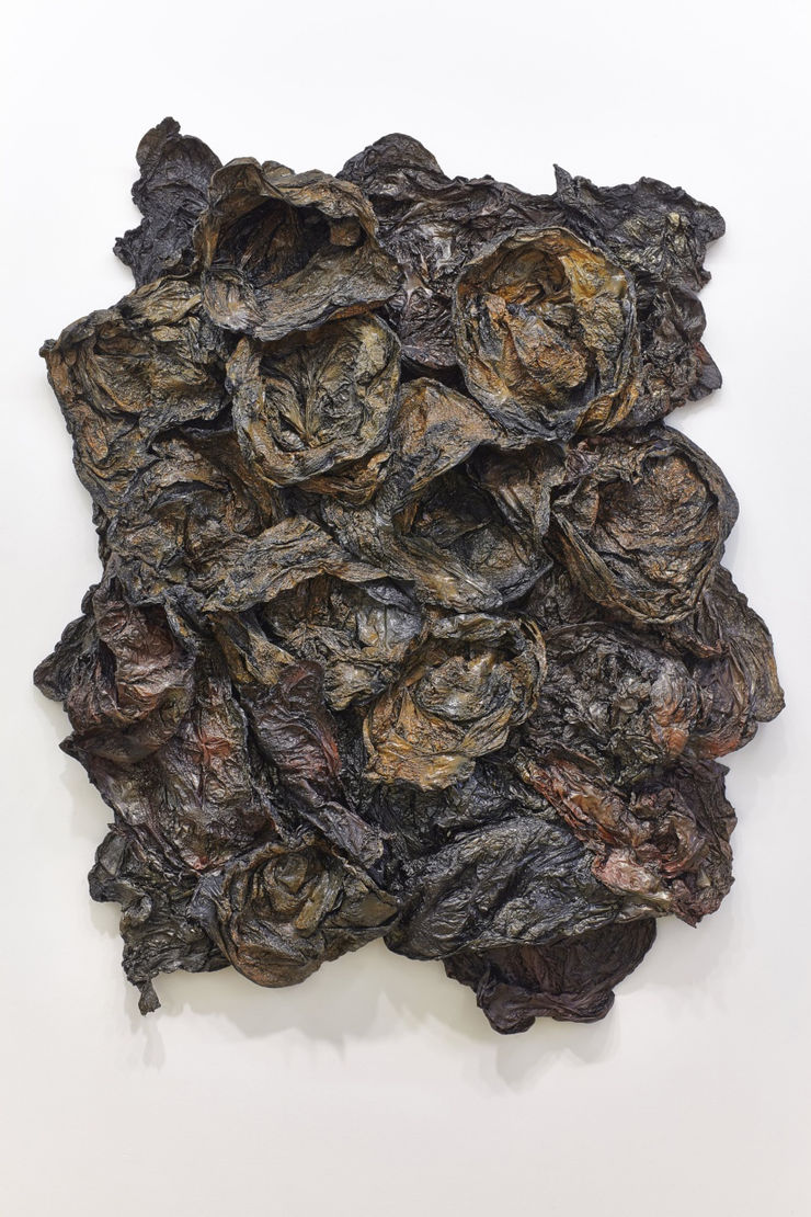 Lavalíki, 2014 plast, úðalakk, viður Lavalike, 2014 plastic, spray paint, wood 155 x 125 cm HRA0040