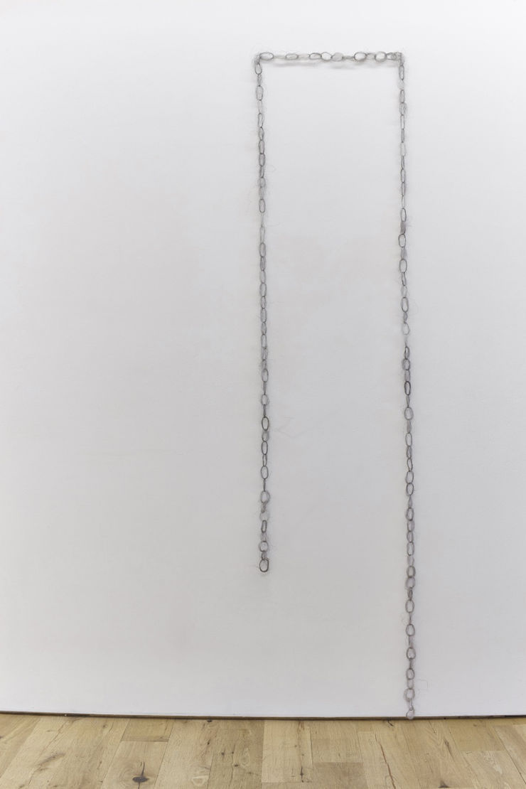 Tilfelli (61 Veikur Hlekkur), 2014 gervihár, mannshár Nonsicle (61 Weak Links), 2014 synthetic hair, human hair ca. 200 cm HRA0059