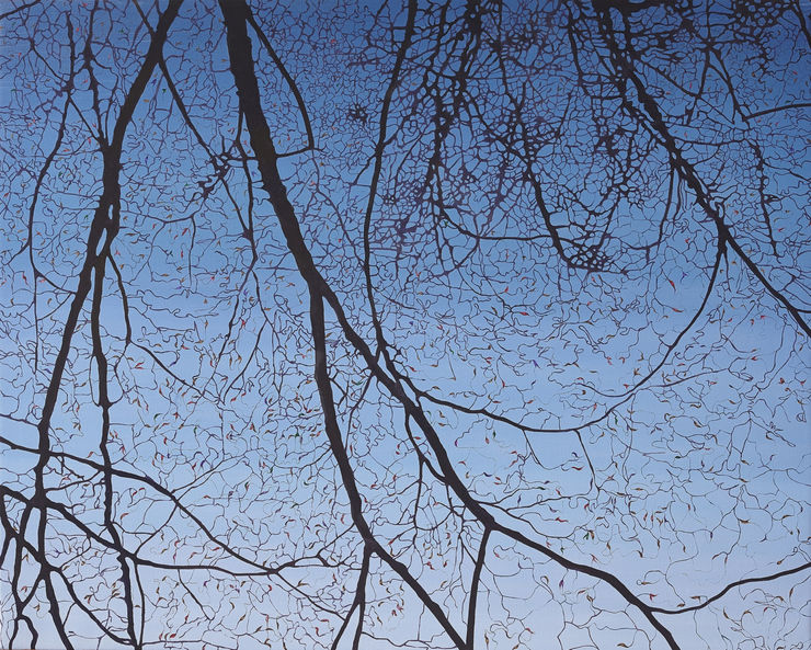 Stanmer skógur II, 2014 olía á striga Stanmer Park II, 2014 139 x 174 cm SBB0056