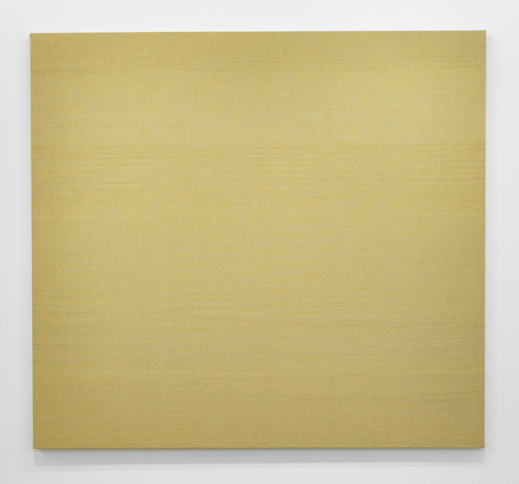 Hildur Bjarnadóttir Kortlagning lands / Mapping a Piece of Land - Hverfisgallerí