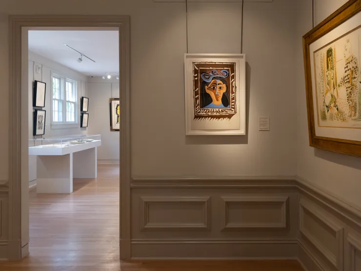 Picasso Ansg Installation 4