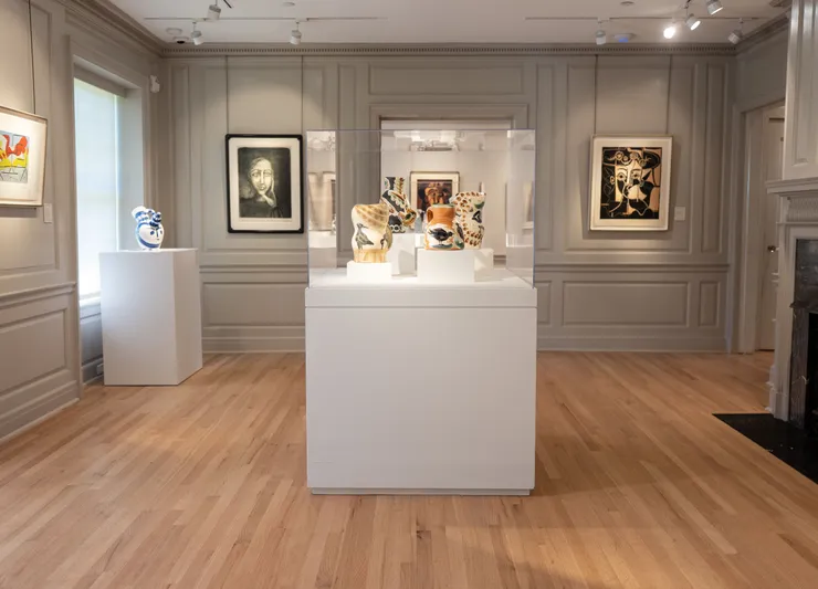 Picasso Ansg Installation 1