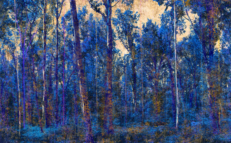 Martin Coiffier Poëtische visioenen waarin natuur en landschap tot leven komen