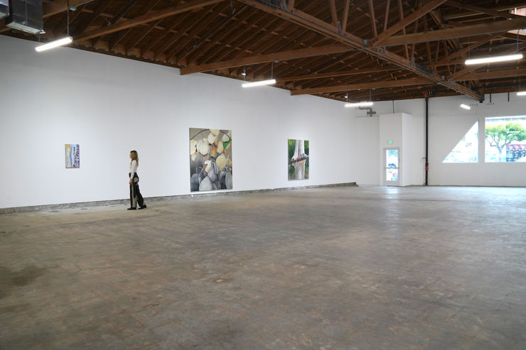photo of the gallery with artwork on the walls