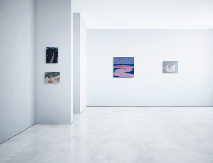 Twenty Two Watercolour On Cotton 27 5 X 36 Cm