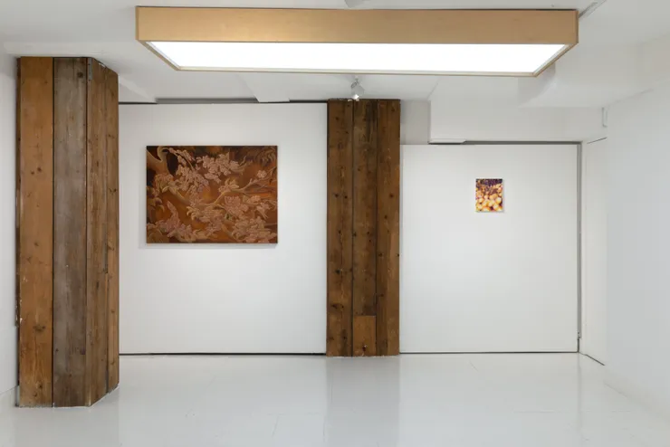 Artistellar Gallery Noho Showrooms March 2026 Photo By Charlie Littlewood 7