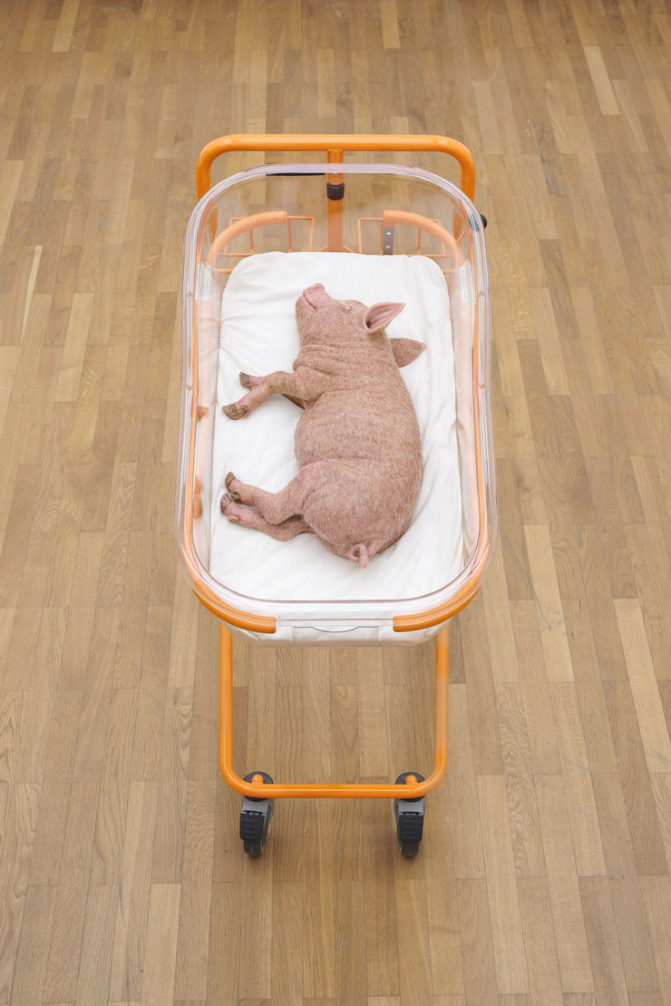 A conversation with Anouk Lamm Anouk