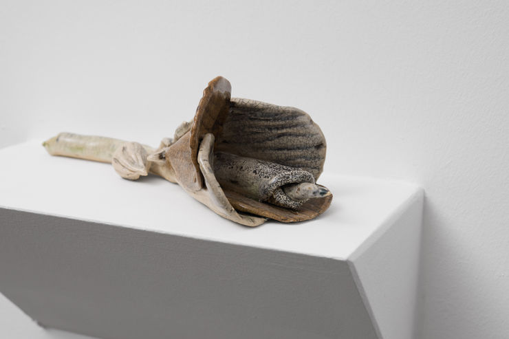 Alma Pearl Ayla Dmyterko 018