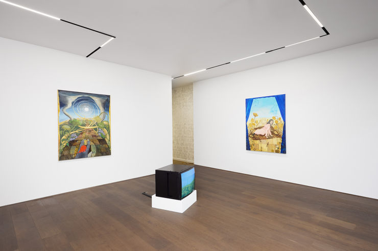 Alma Pearl Ayla Dmyterko Installs 002