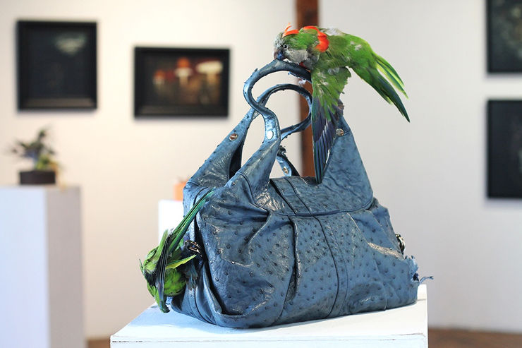 Armando De La Garza 5985 Copia