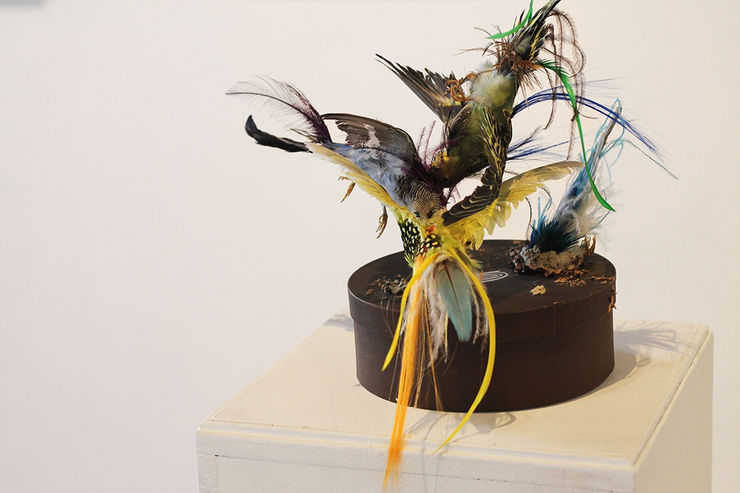 Armando De La Garza 5997 Copia