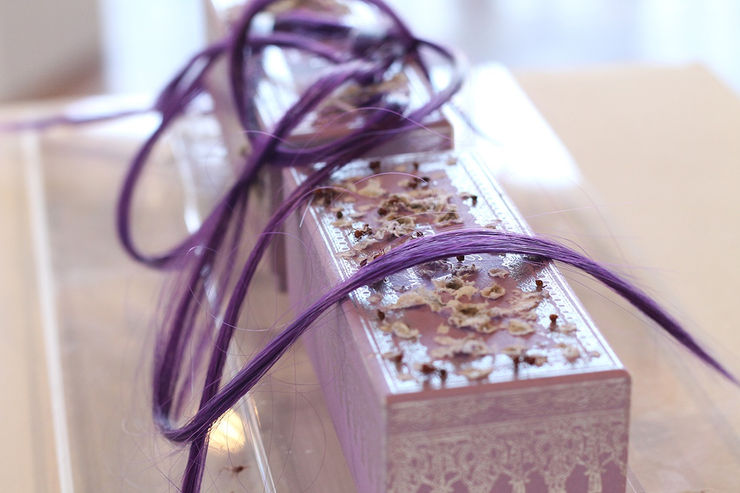 Armando De La Garza 6010 Copia