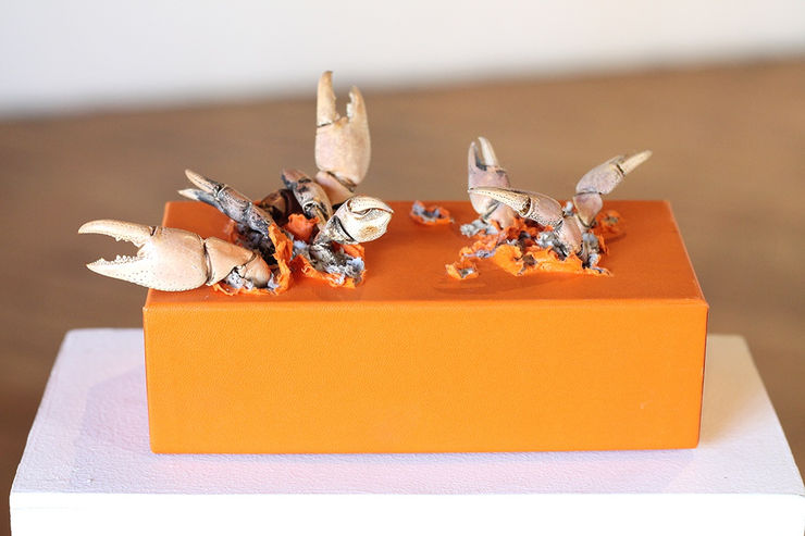 Armando De La Garza 6012 Copia